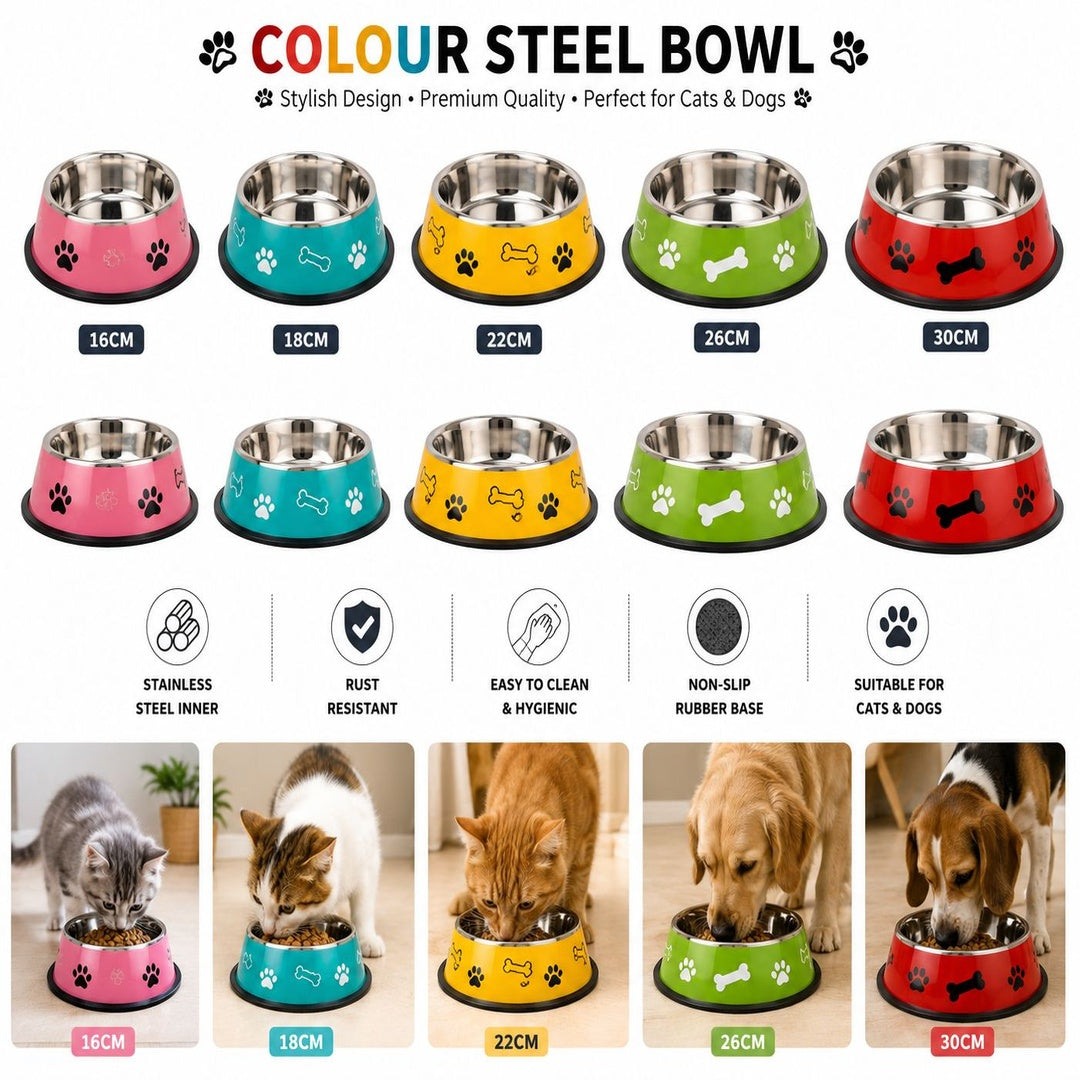 🐱 Colour Steel Bowl