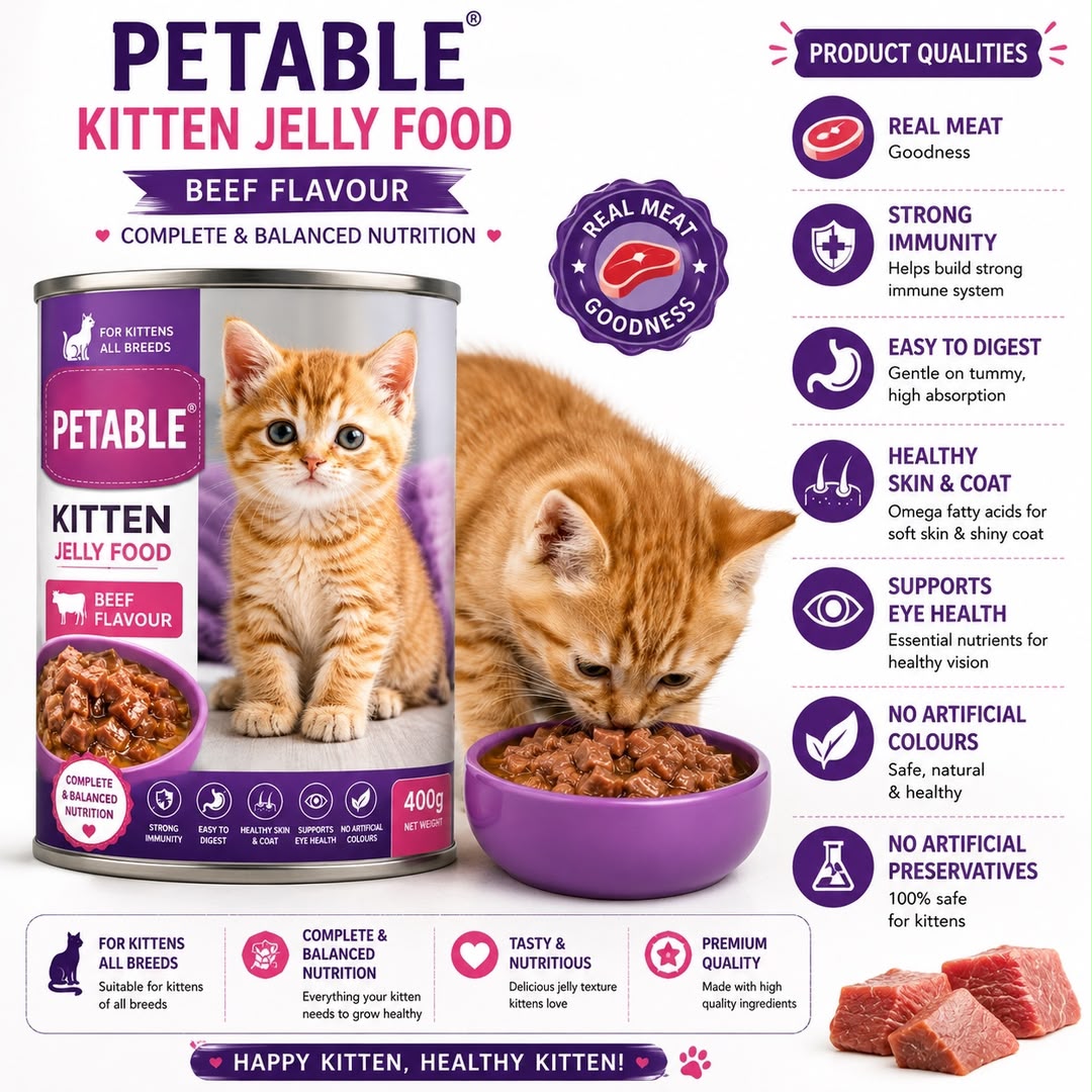 Petable Kitten Jelly Food (Classic) | Beef Flavor