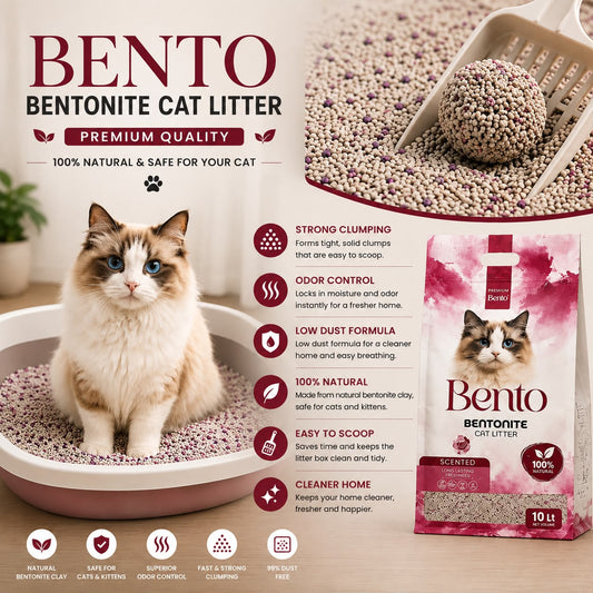 Bento Bentonite Cat Litter – 10L