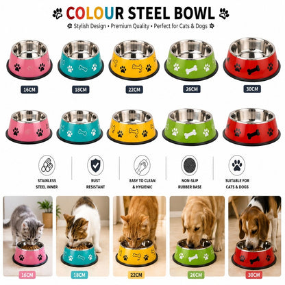 🐱 Colour Steel Bowl