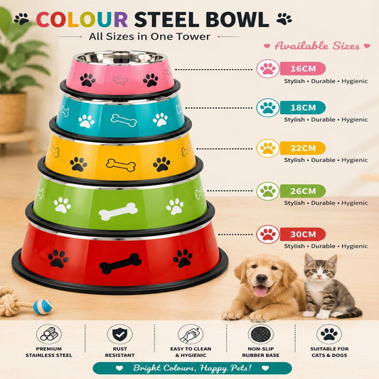 🐱 Colour Steel Bowl