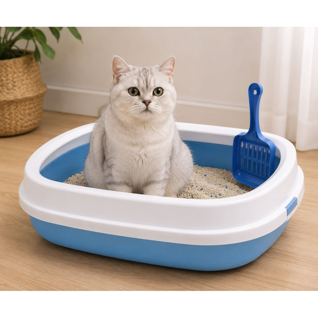 Covered Cat Litter Tray with Scoop