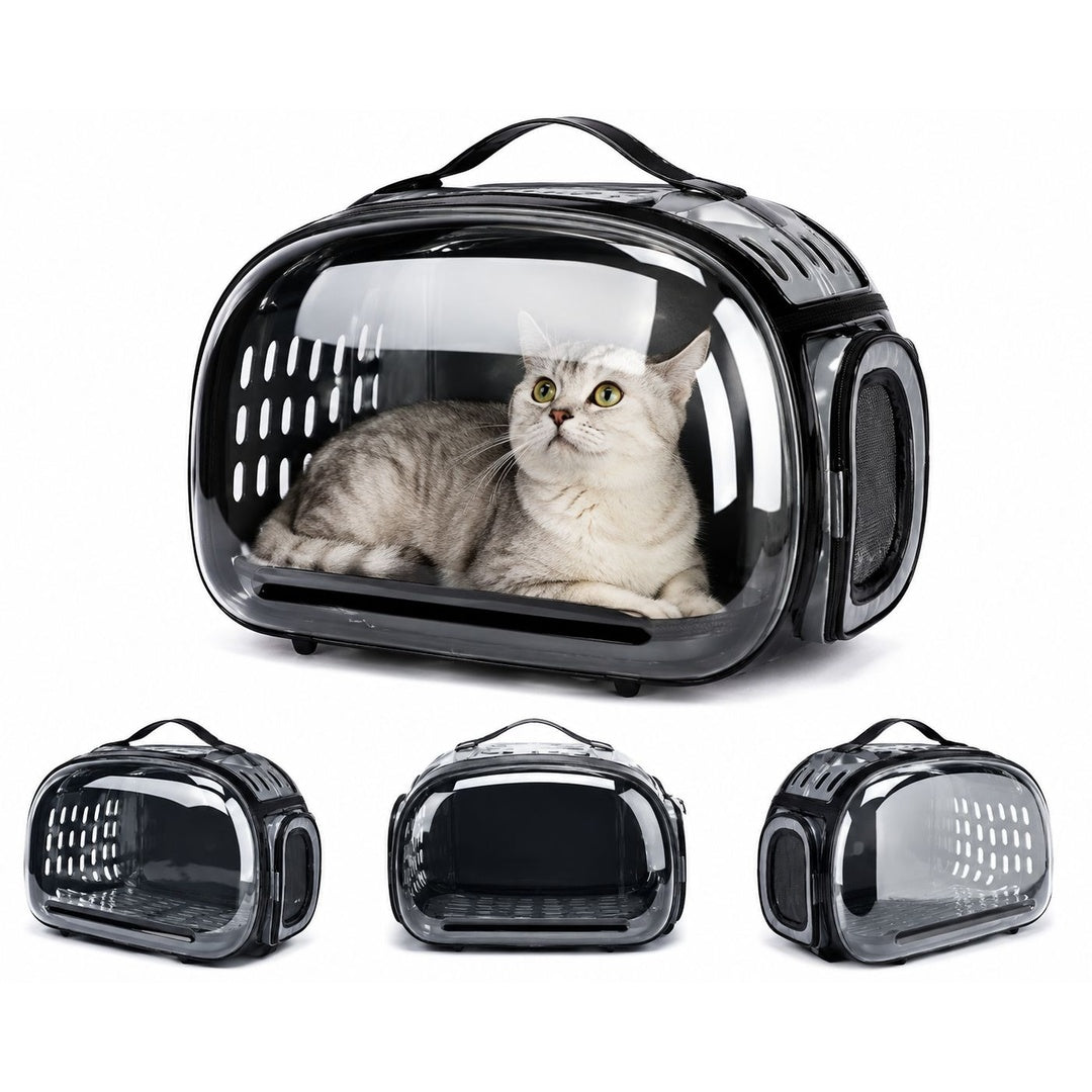 Transparent Travel Cat Carry Bag
