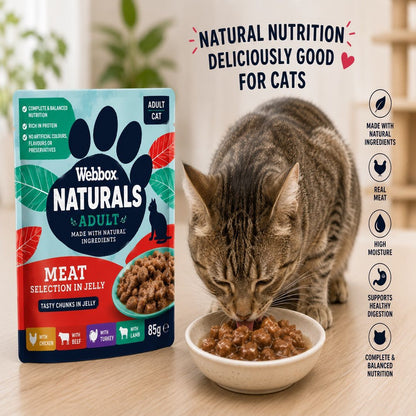 Webbox Adult Cat Jelly 85g | Meat in Gravy