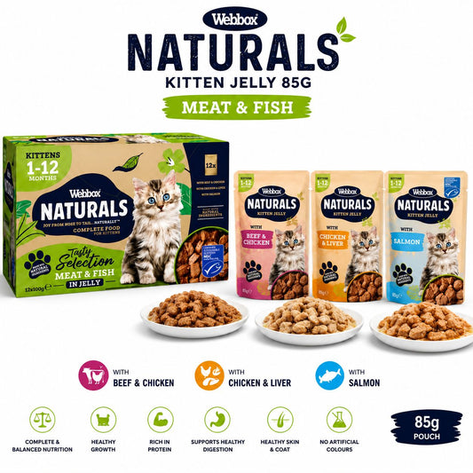 Webbox Naturals Kitten Jelley 85g | Meat & Fish