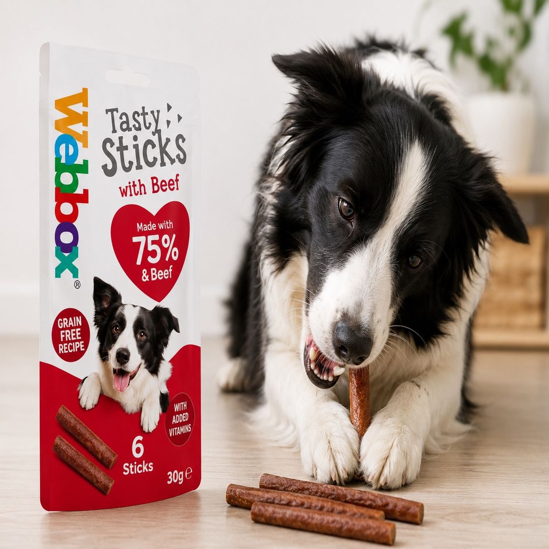 Webbox Tasty Sticks with Beef